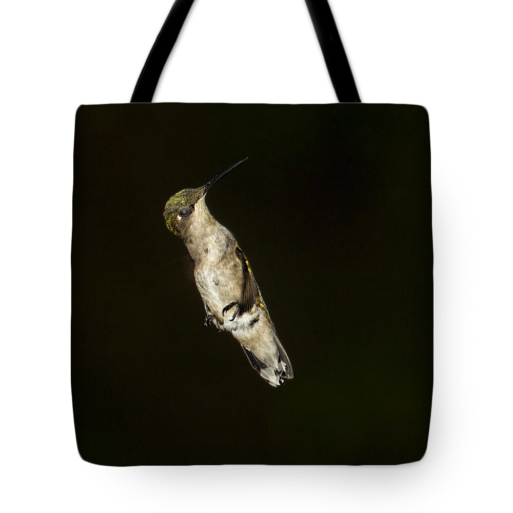Hummingbird Tote Bag featuring the photograph Flaps Down by Barbara Bowen