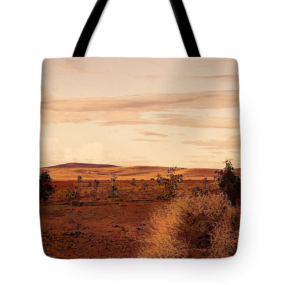 Morocco Tote Bag featuring the photograph Flat Land Scenic Morocco View from Train Window by Chuck Kuhn