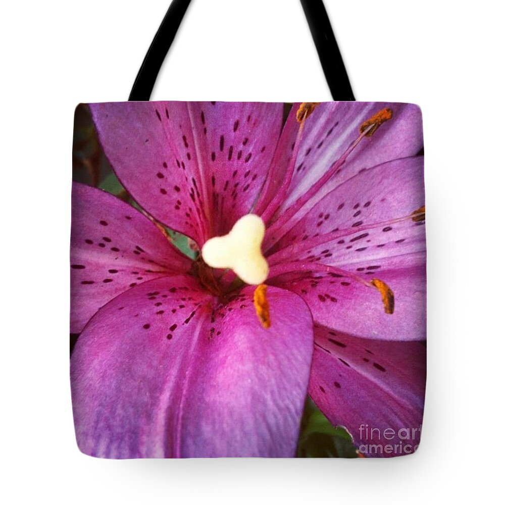 Lily Tote Bag featuring the photograph Flecked by Denise Railey