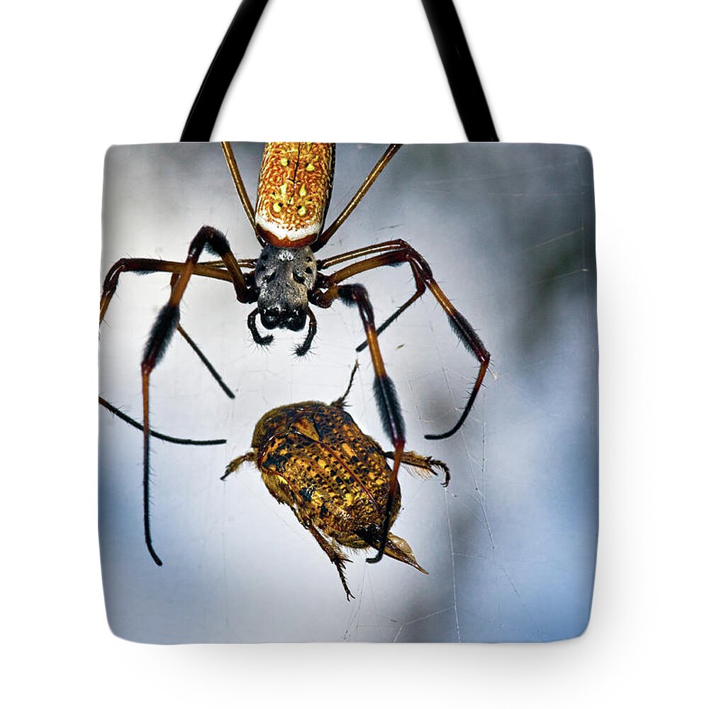 Golden Silk Orb-weaver Tote Bag featuring the photograph Flew In For Dinner by Christopher Holmes