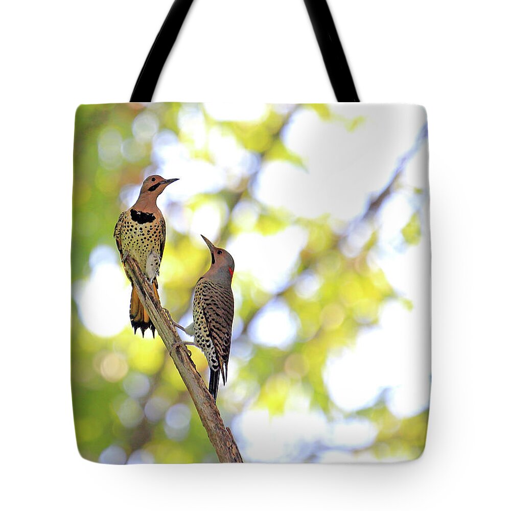 Flicker Territory Tote Bag featuring the photograph Flicker Territory by PJQandFriends Photography