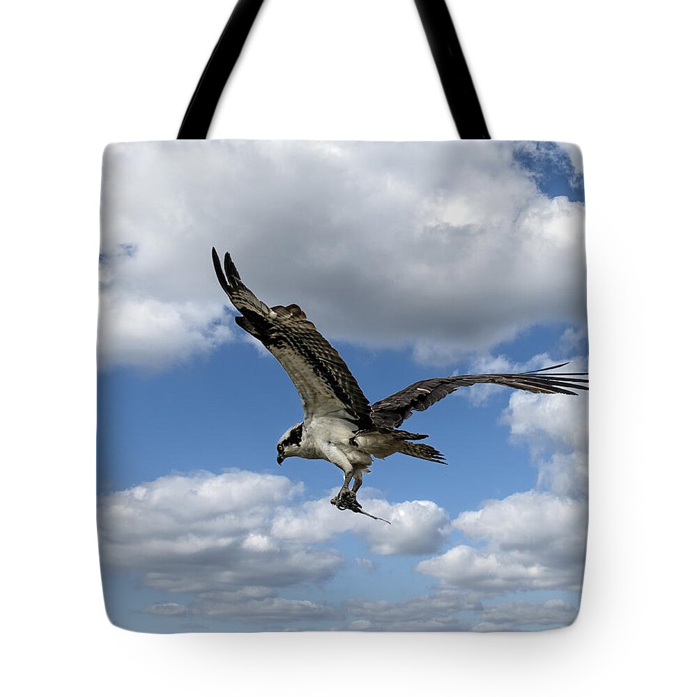 Bird Tote Bag featuring the photograph Flight Among The Clouds by William Bitman