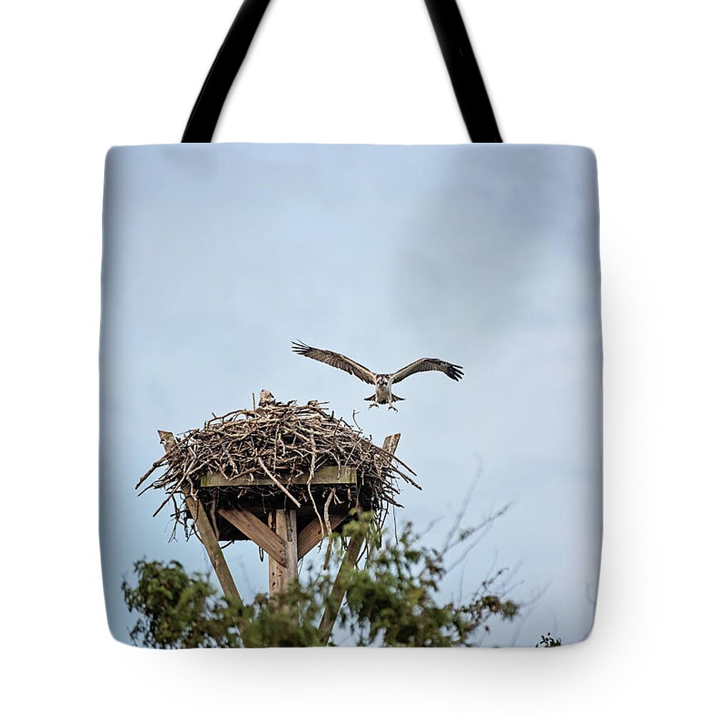 Osprey Tote Bag featuring the photograph Flight Lessons by Scott Pellegrin
