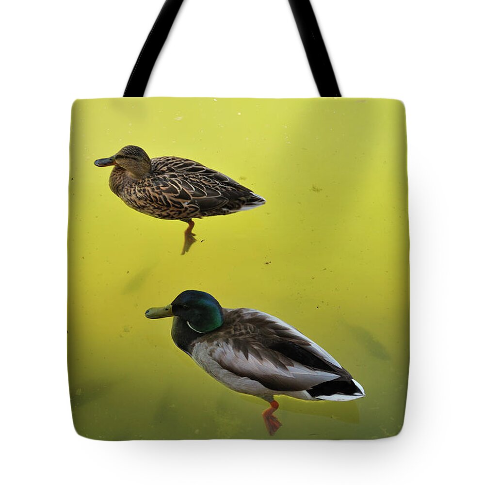 Nature Tote Bag featuring the photograph Floating Around by Ron Cline
