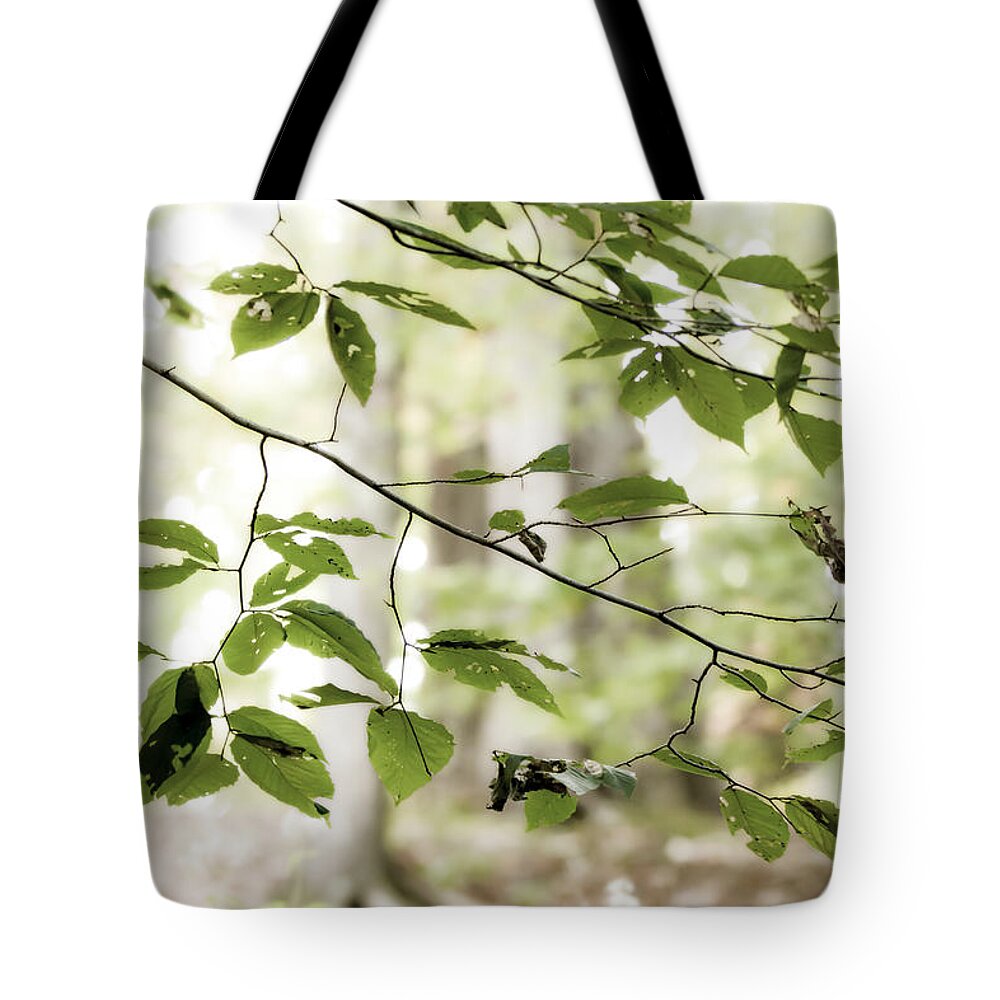 Floating Green Leaves Tote Bag featuring the photograph Floating Green Leaves by Tracy Winter