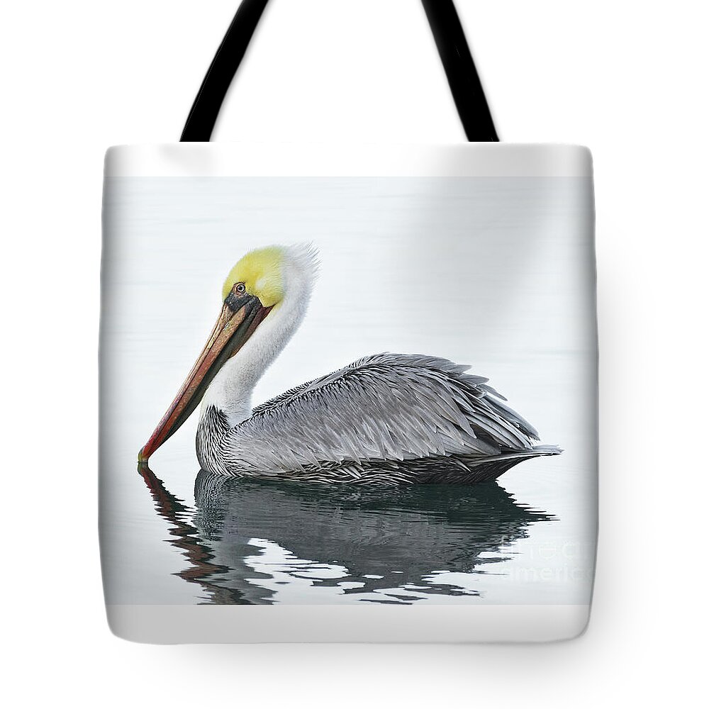 Animal Tote Bag featuring the photograph Floating Pelican by Alice Cahill