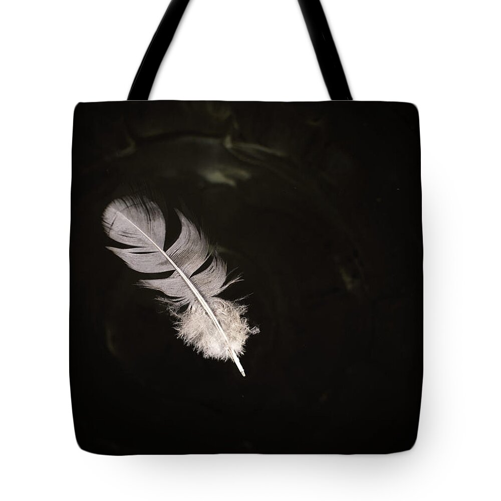 Background Tote Bag featuring the photograph Floating Pigeon Feather on Water by John Williams