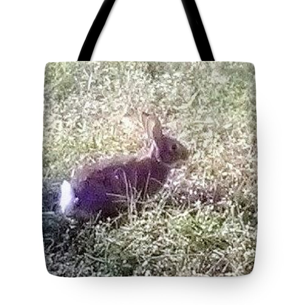 Rabbit. Bunny .wildlife Sanctuary Tote Bag featuring the photograph Floppy Our Local Bunny by Suzanne Berthier