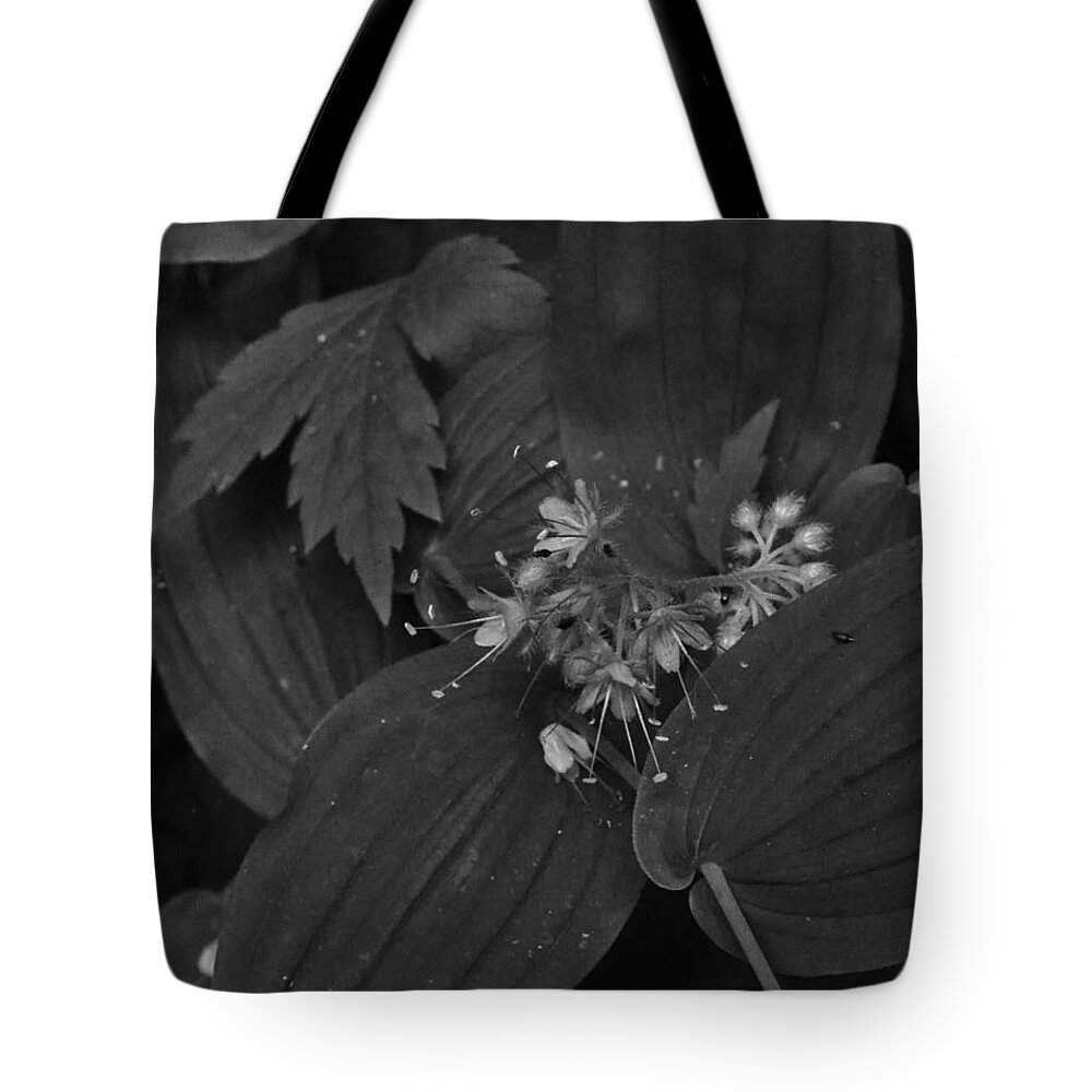 Nature Tote Bag featuring the photograph Flora of Natures Forest by Charles Lucas