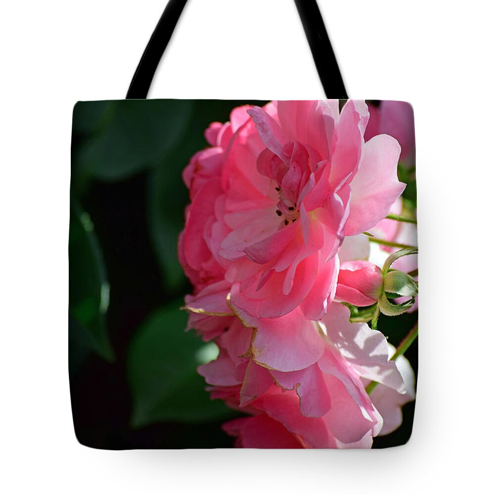 Flora Tote Bag featuring the photograph Flora No. 3 by Sandy Taylor