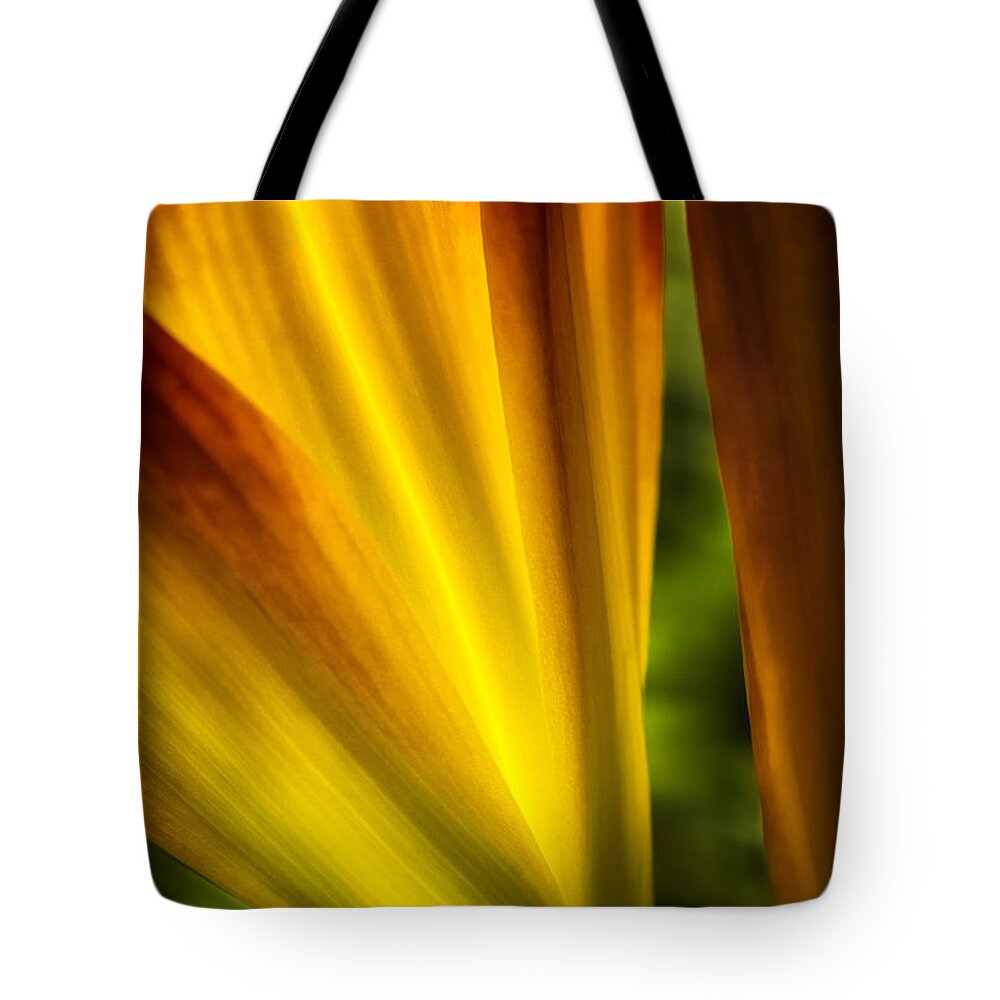 Flower Tote Bag featuring the photograph Floral Abstract by Rikk Flohr