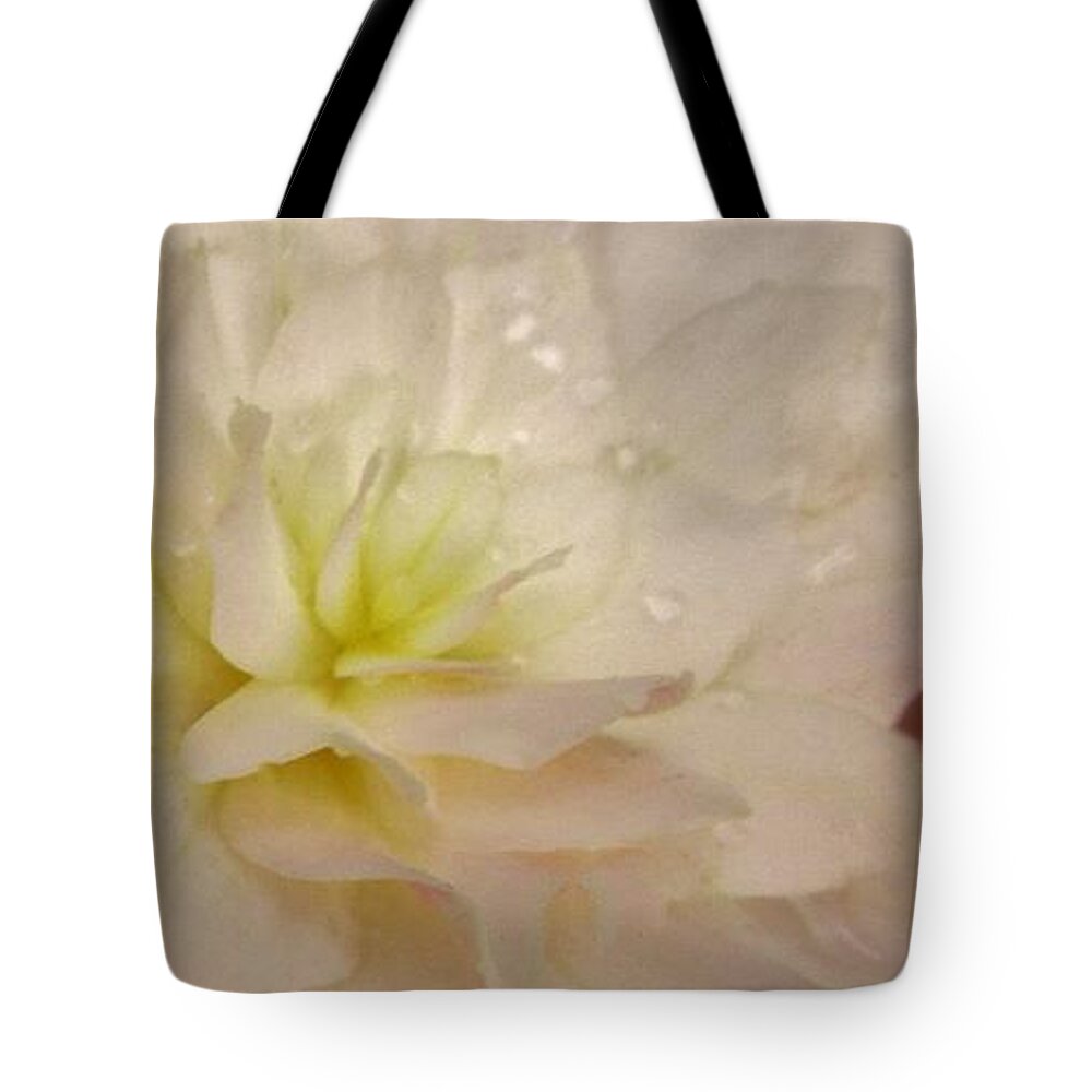 Floral Tote Bag featuring the photograph Floral Harmony by Sharon Ackley
