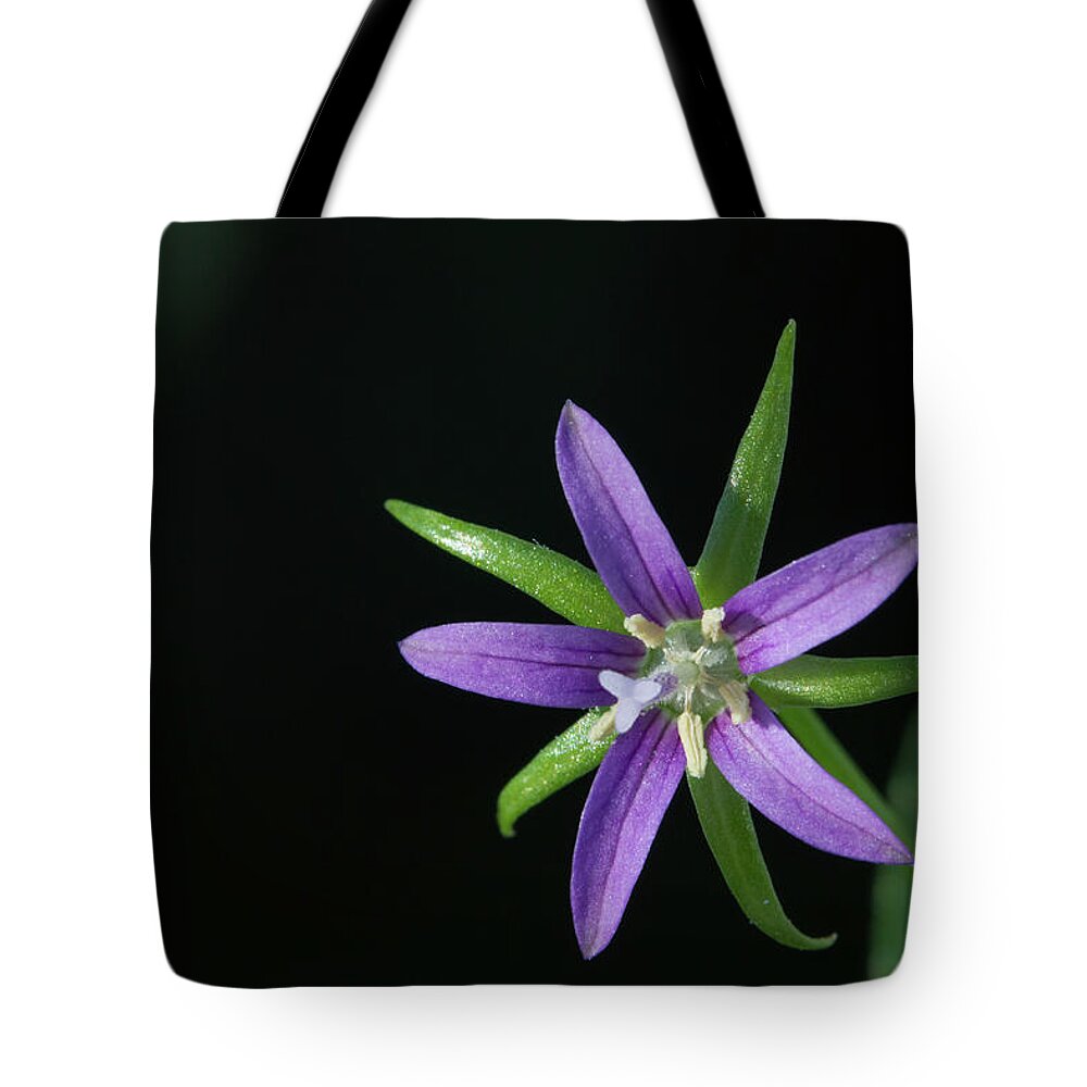 Bellflower Tote Bag featuring the photograph Florida Bellflower by Paul Rebmann