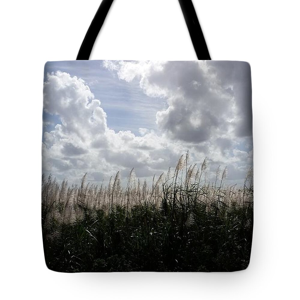 Landscape Tote Bag featuring the photograph Florida Sugar Fields by Florene Welebny
