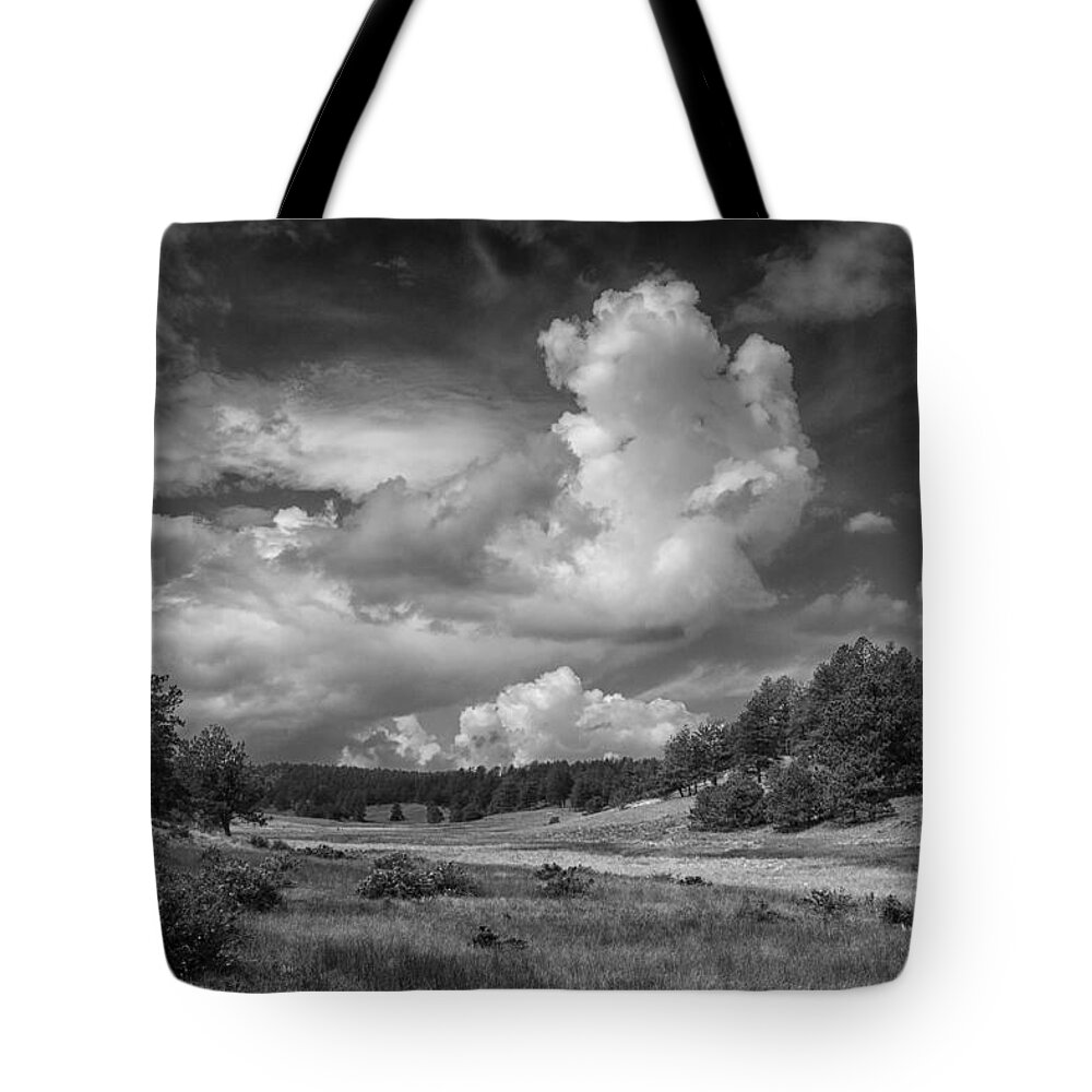 Florissant Tote Bag featuring the photograph Florissant Fossil Bed NP Colorado BnW IMG_8508 by Greg Kluempers