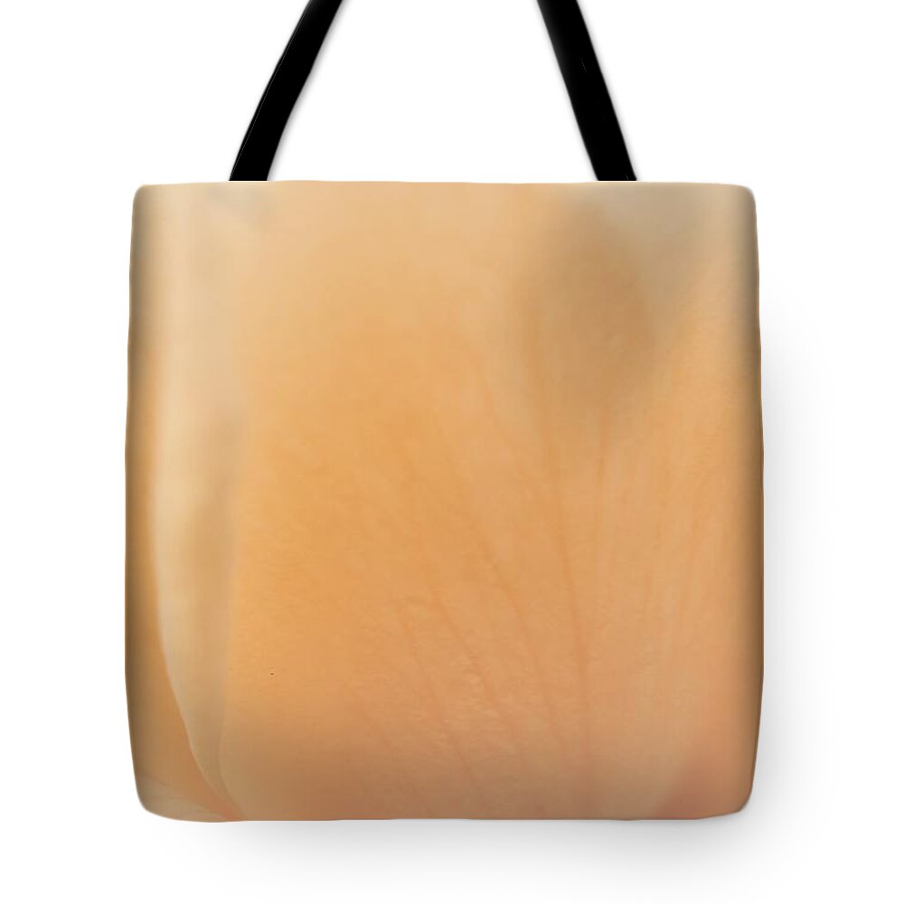  Tote Bag featuring the photograph Flourishing Soft Peach Rose by The Art Of Marilyn Ridoutt-Greene
