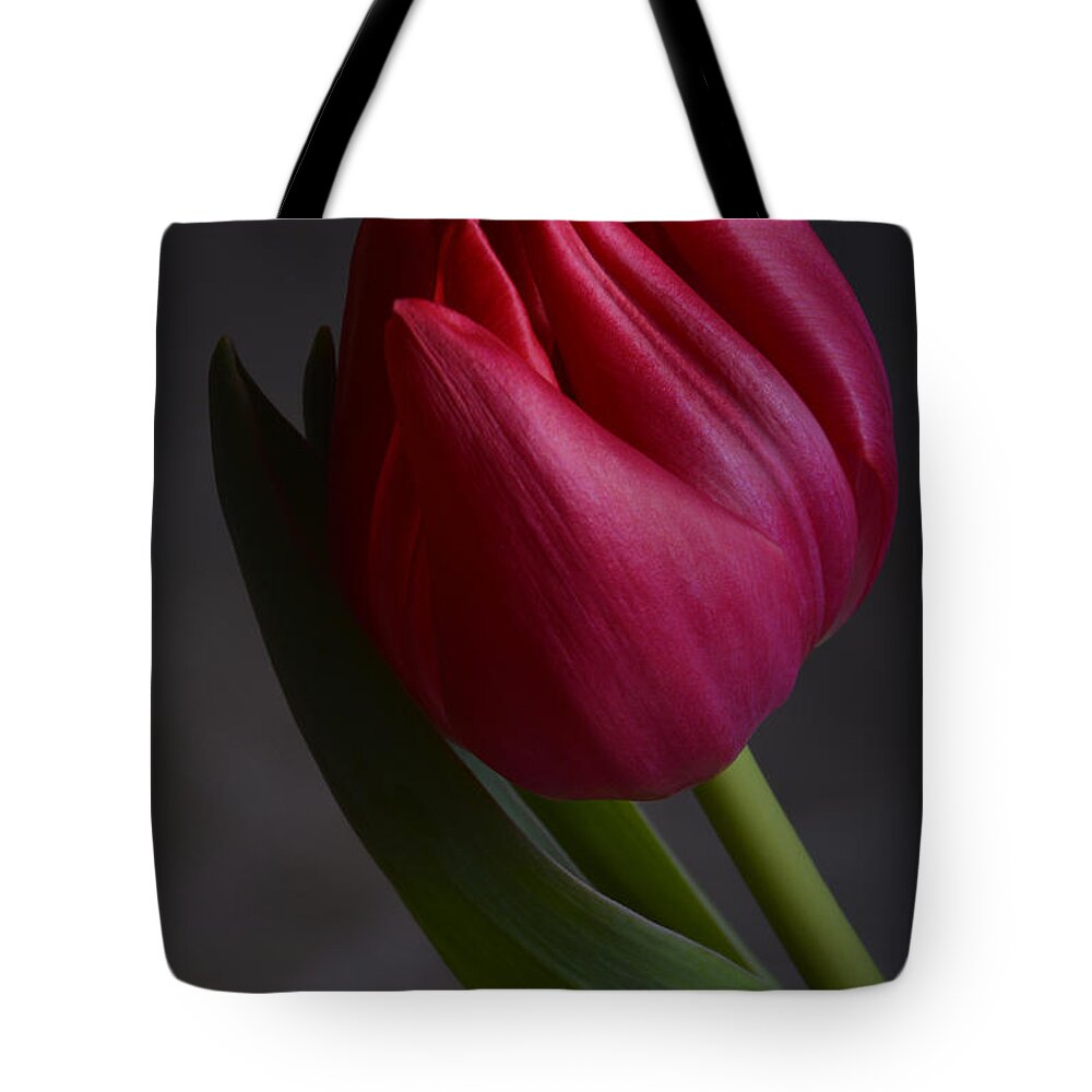 Flower Tote Bag featuring the photograph Flourishing tulip by Robert WK Clark
