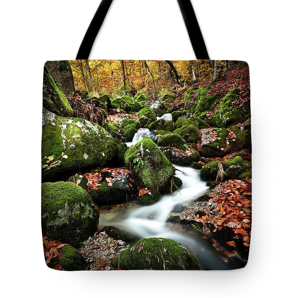 Jorgemaiaphotographer Tote Bag featuring the photograph Flow by Jorge Maia