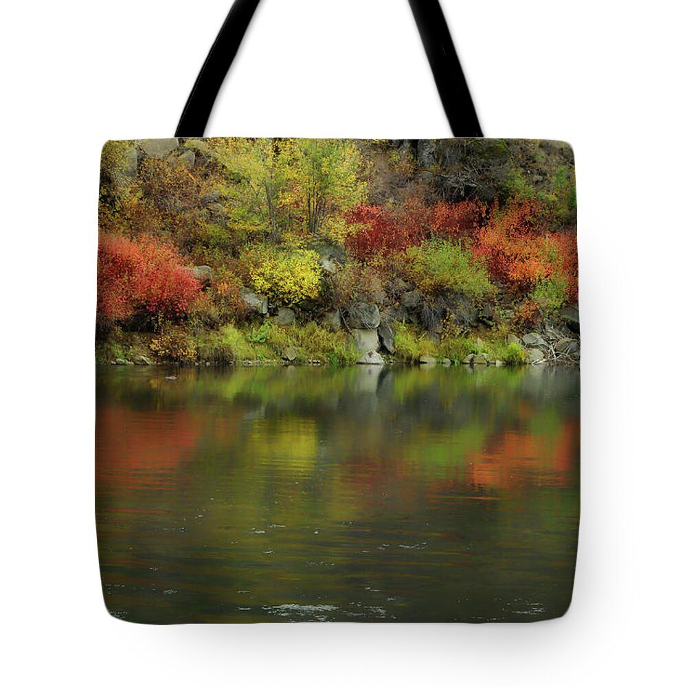 River Tote Bag featuring the photograph Flow Of Autumn by Donna Blackhall