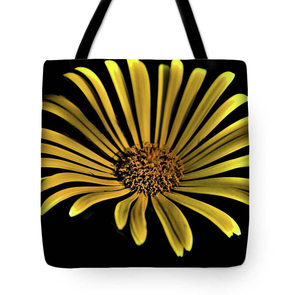 Flower Tote Bag featuring the photograph Flower 1 by Lawrence Christopher