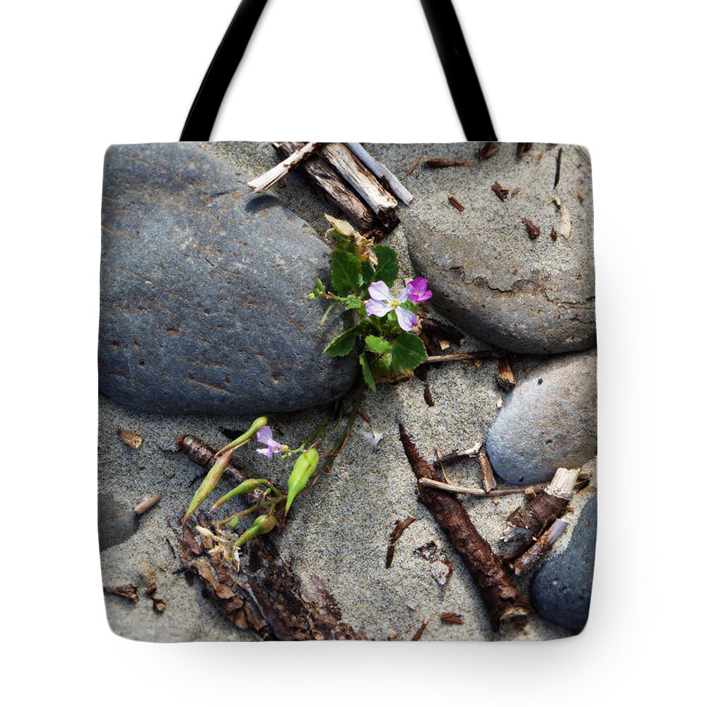 Flower Tote Bag featuring the photograph Flower Amid Rocks by Bonnie Bruno