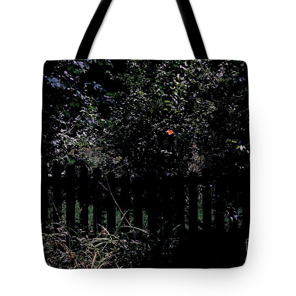 Single Flower And Fence Tote Bag featuring the photograph Flower and Fence by Frank J Casella