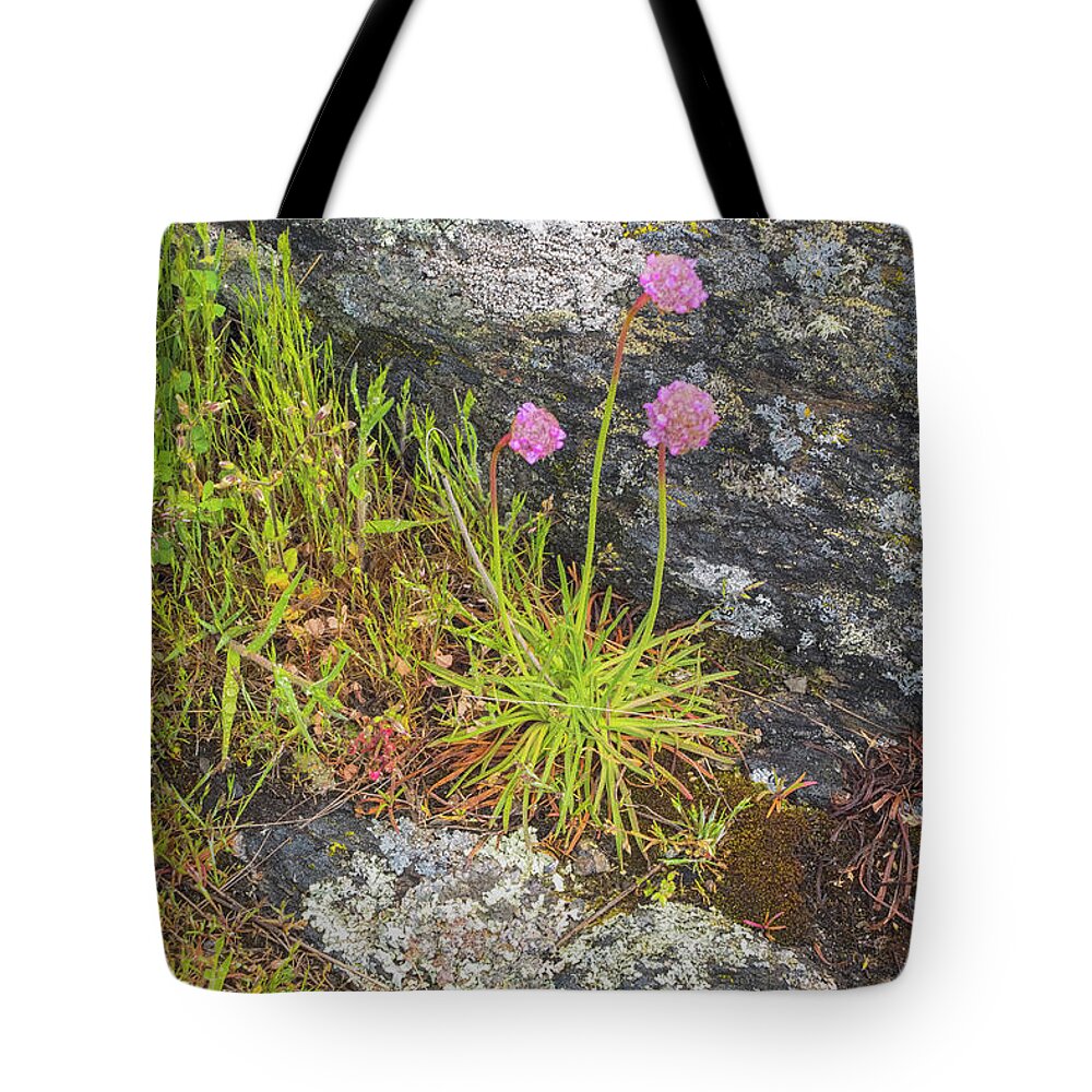 Oregon Coast Tote Bag featuring the photograph Flower And Rock by Tom Singleton