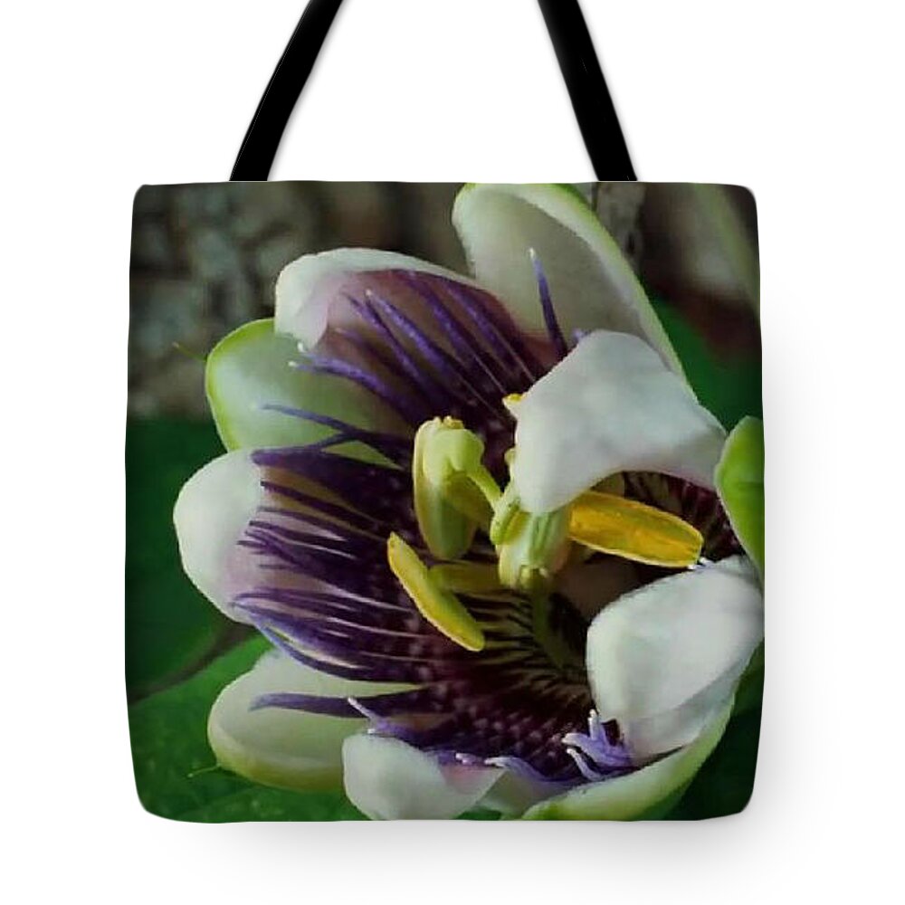 Flowers Tote Bag featuring the photograph Flower Bloom by Digital Art Cafe
