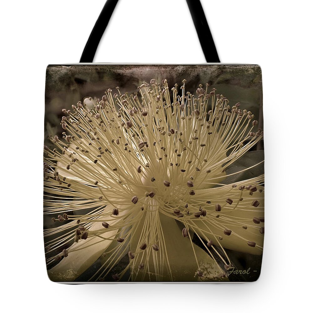 Flower Tote Bag featuring the photograph Adventure in Grey by Farol Tomson