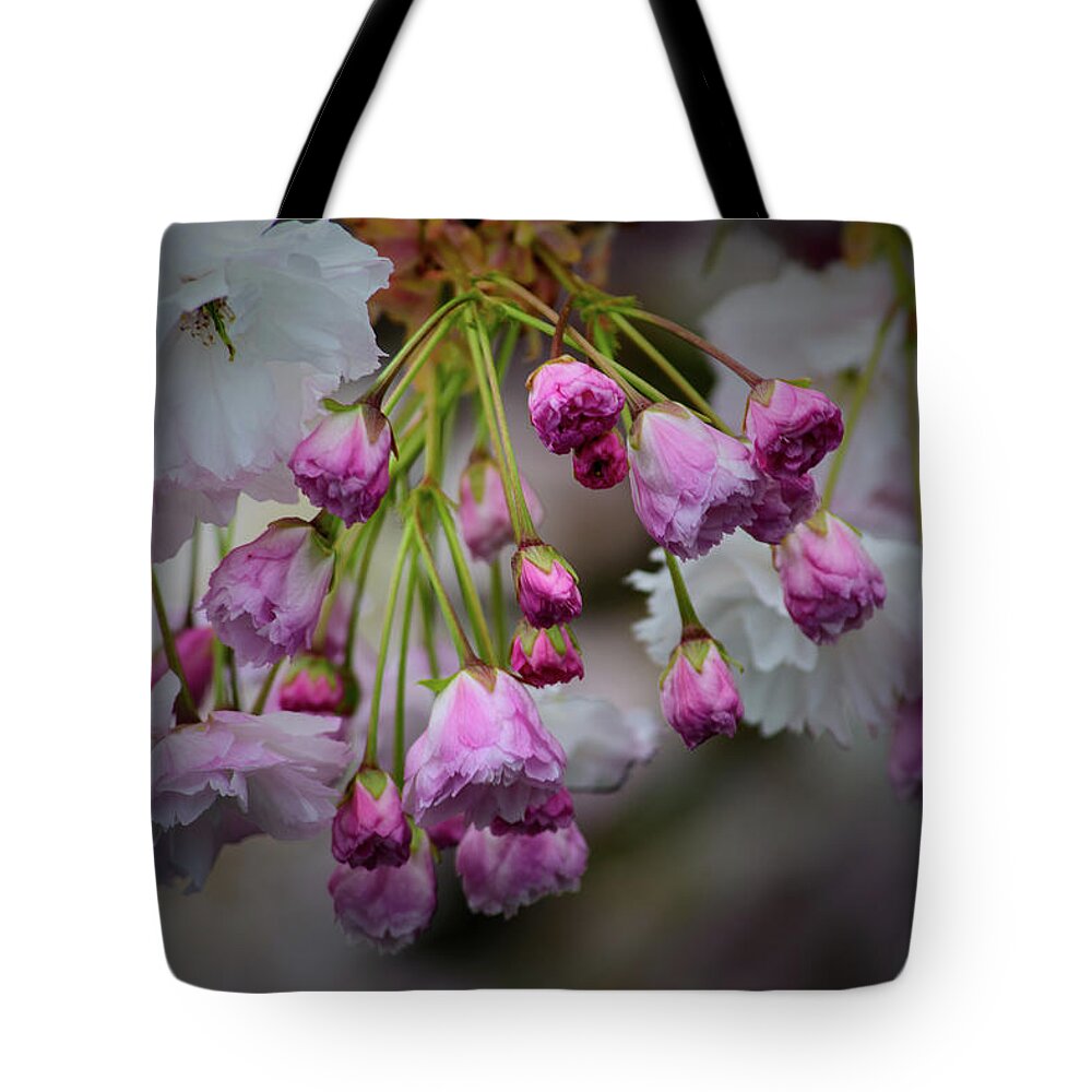 Spring Tote Bag featuring the photograph Flower Blossoms by Tikvah's Hope