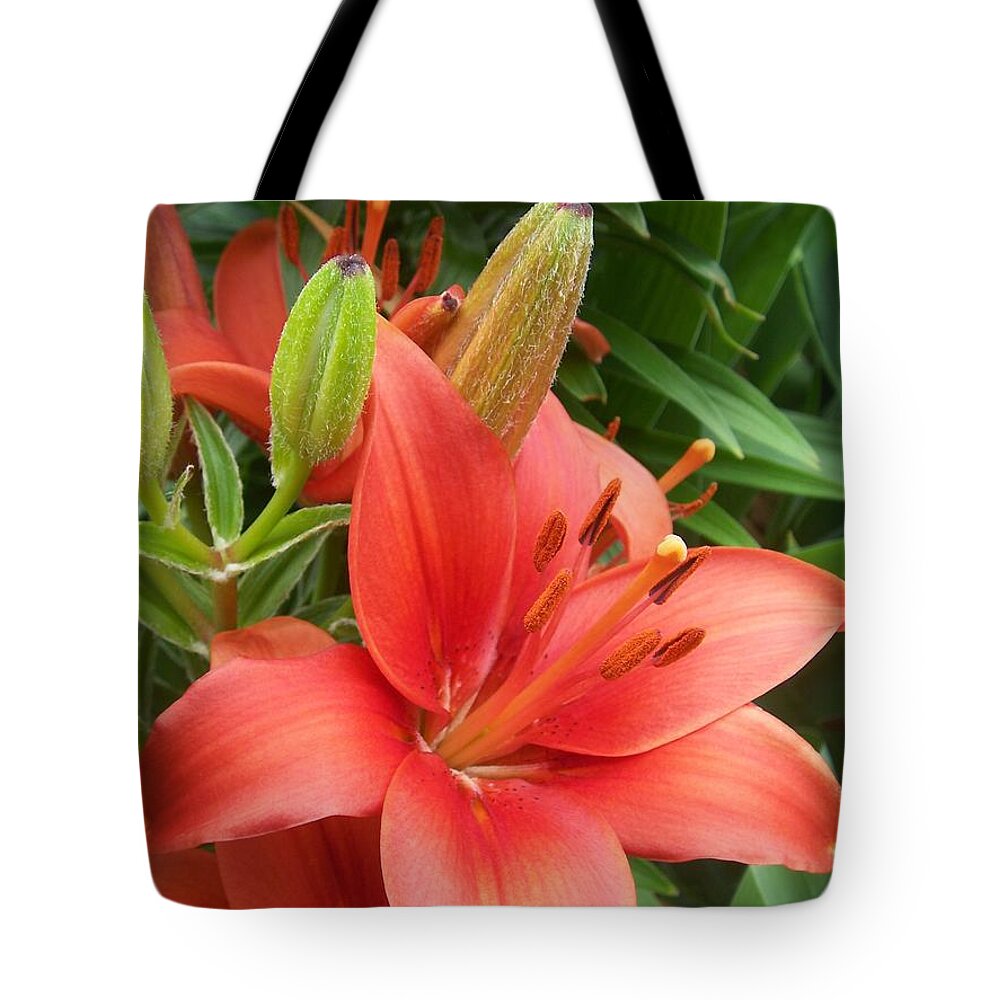 Flower Tote Bag featuring the photograph Flower close up 4 by Anita Burgermeister