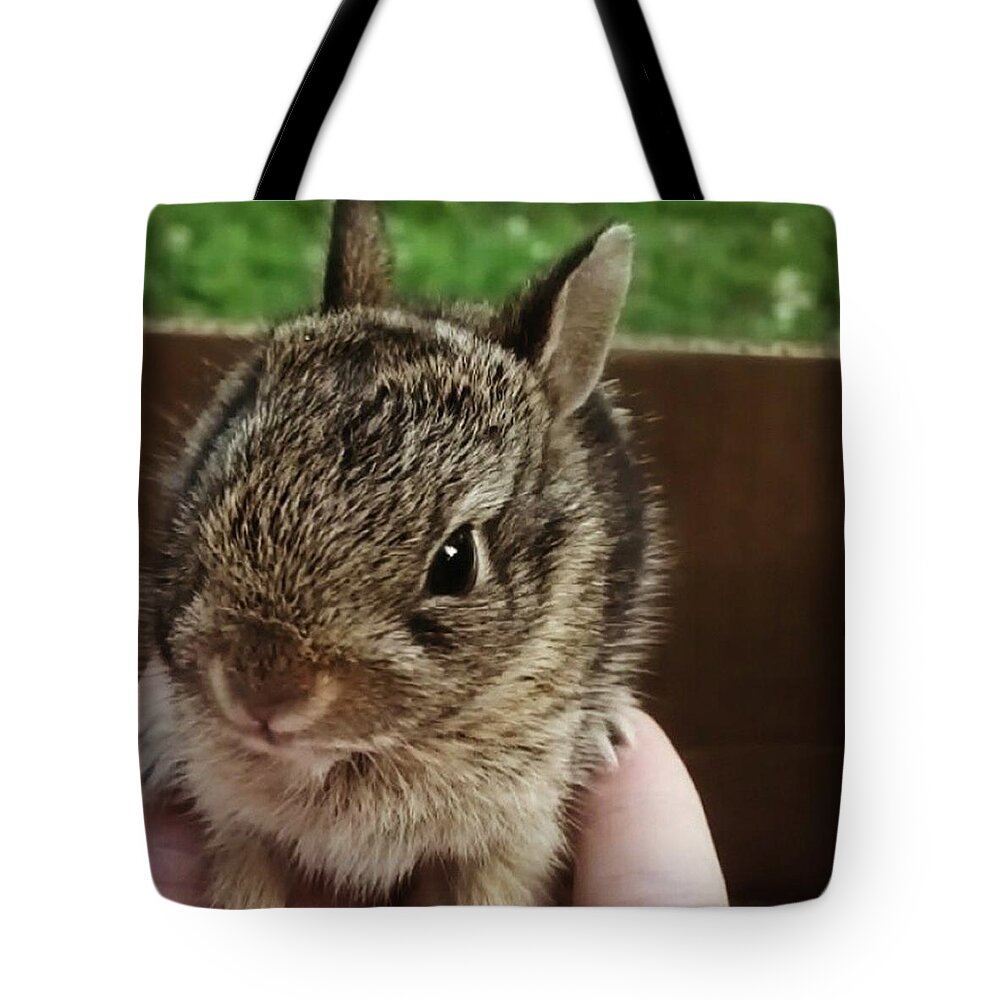 Pet Rabbit Tote Bags