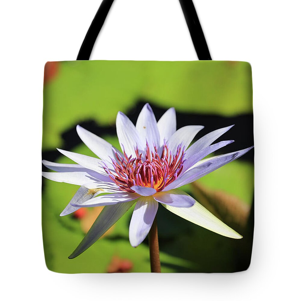 Flower Tote Bag featuring the photograph Flower In The Pond by Paul Ranky