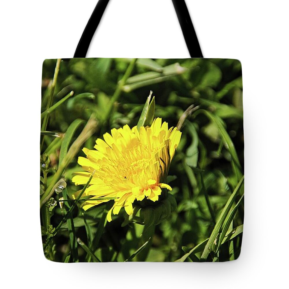 Flowers Tote Bag featuring the photograph Flower macro 2 by Karl Rose