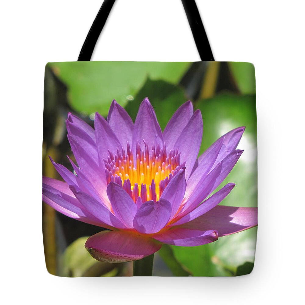 Flower Tote Bag featuring the photograph Flower of the Lilly by David Bader