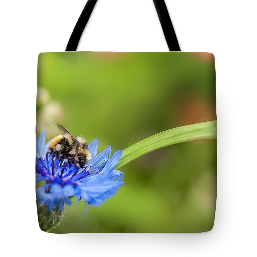  Tote Bag featuring the photograph Flower Spoon Bee Full..... by Paul Vitko