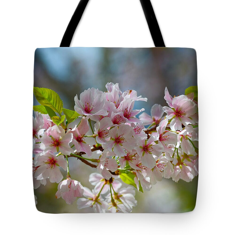 Flowers Tote Bag featuring the photograph Flower Spray by Linda Brown