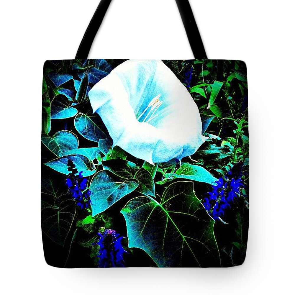 Flower Tote Bag featuring the photograph Flower Therapy by Nick Heap