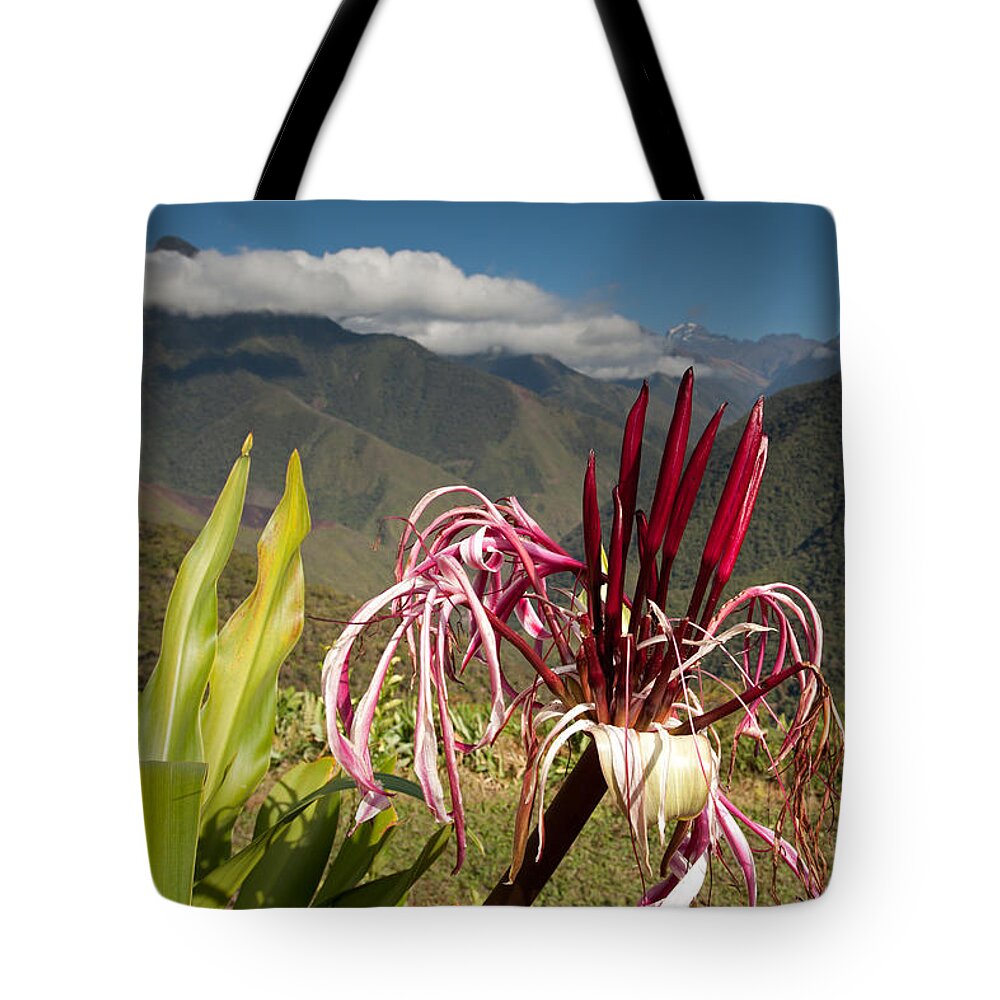 Sandillani Tote Bag featuring the photograph Flower with Cloudforest by Aivar Mikko