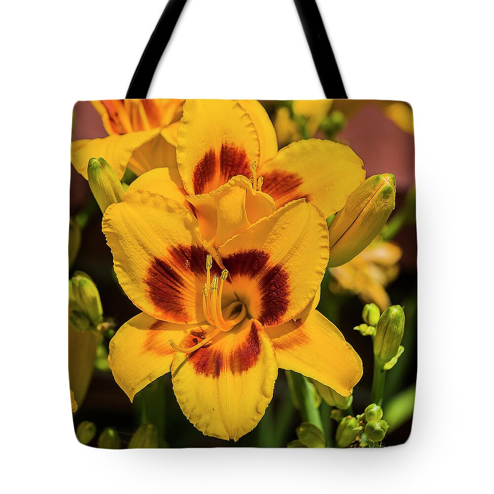 Flora Tote Bag featuring the photograph Flower Yellow And Rust by Ed Peterson