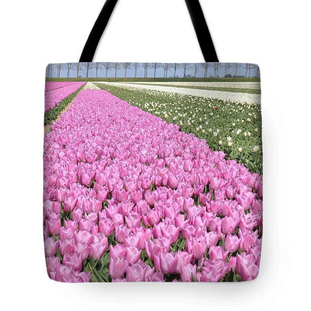 Flowerfields Tote Bag featuring the photograph Flowerfield, pink tulips by Eduard Meinema