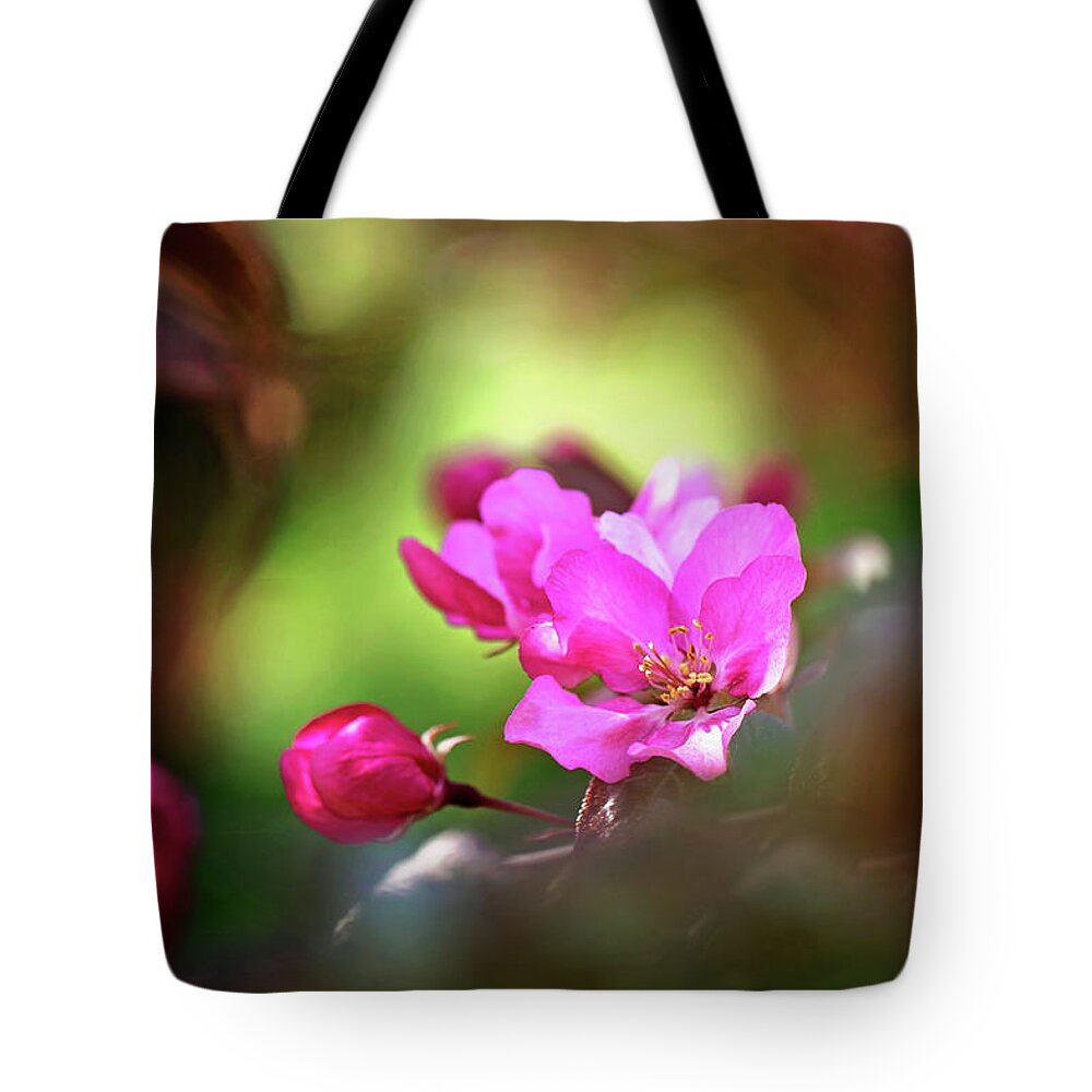 Flowering Crabapple Blossom Print Tote Bag featuring the photograph Flowering Crabapple Blossom Print by Gwen Gibson