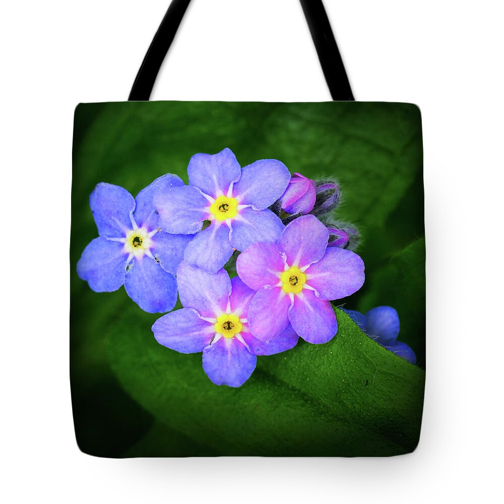 Flowering Forget-me-nots Tote Bag featuring the photograph Flowering Forget-me-nots by Carolyn Derstine