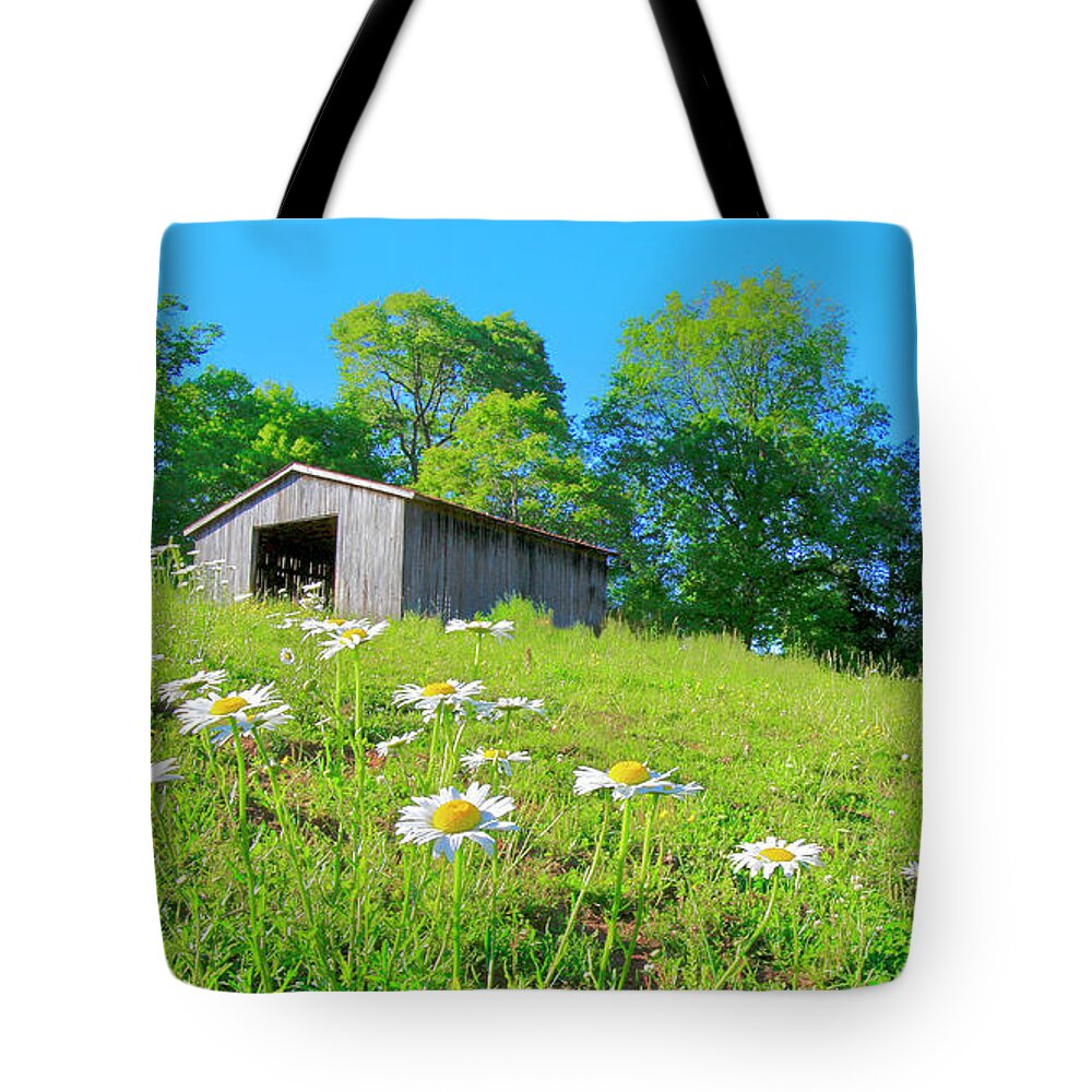 Barn Tote Bag featuring the photograph Flowering Hillside Meadow - View 2 by The James Roney Collection