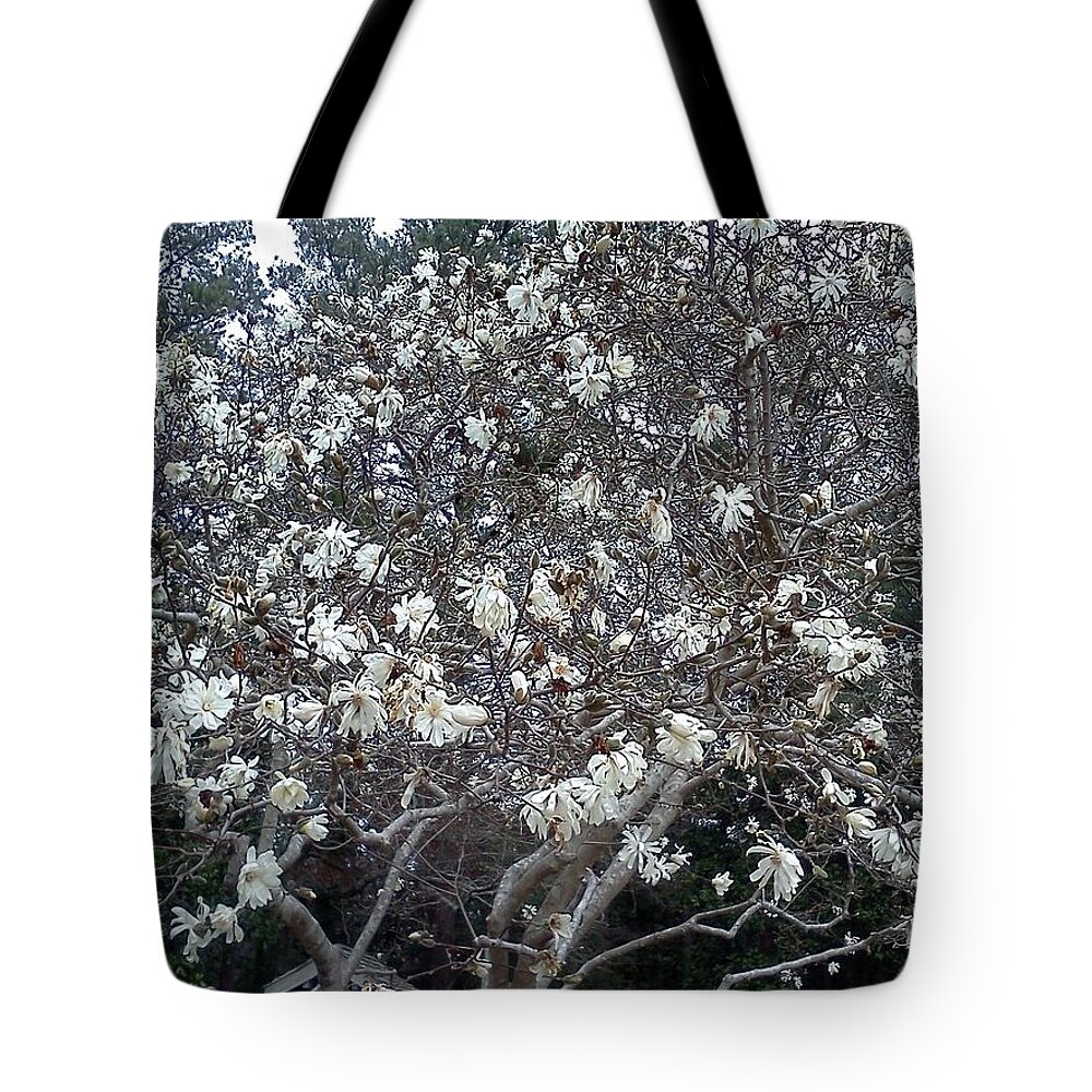 Floral Tote Bag featuring the photograph Flowering Tree by Pamela Henry