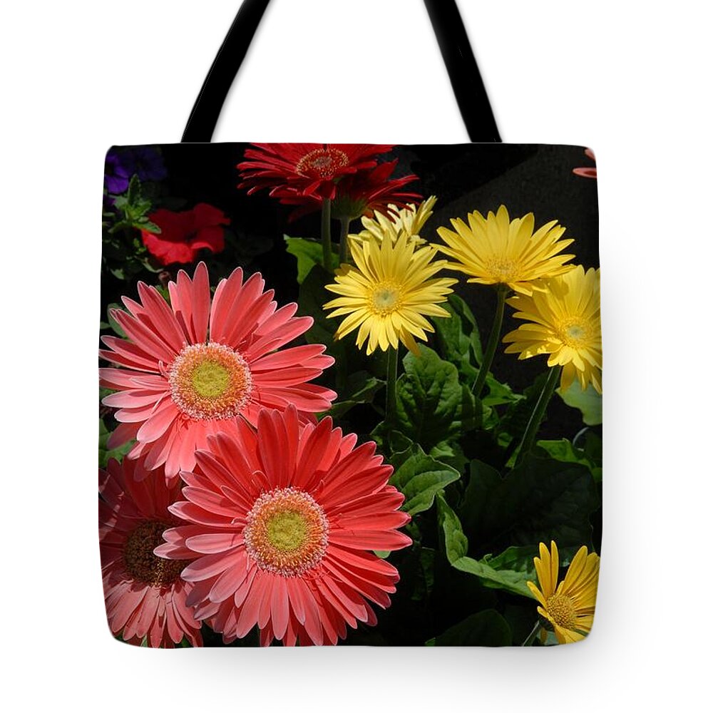 Splendid Pink Hibiscus With White Accents And Green Leaves Under July Sunlight At Freehold Tote Bag featuring the photograph Flowers 728 by Joyce StJames