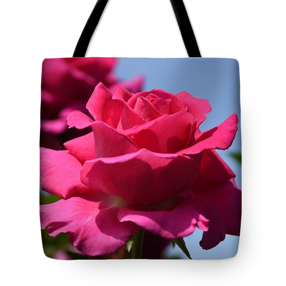Rose Tote Bag featuring the photograph Flowers 796 by Joyce StJames