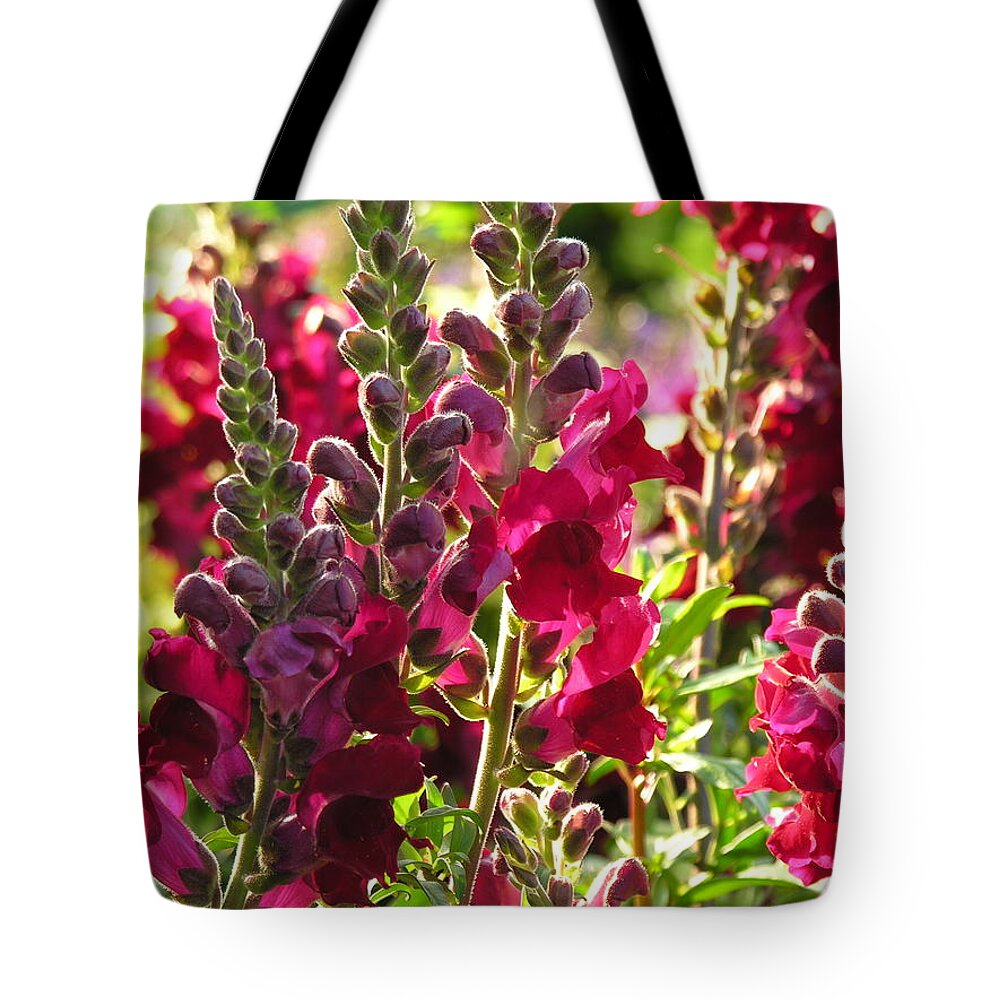 Flowers Tote Bag featuring the photograph Flowers by Diane Lesser