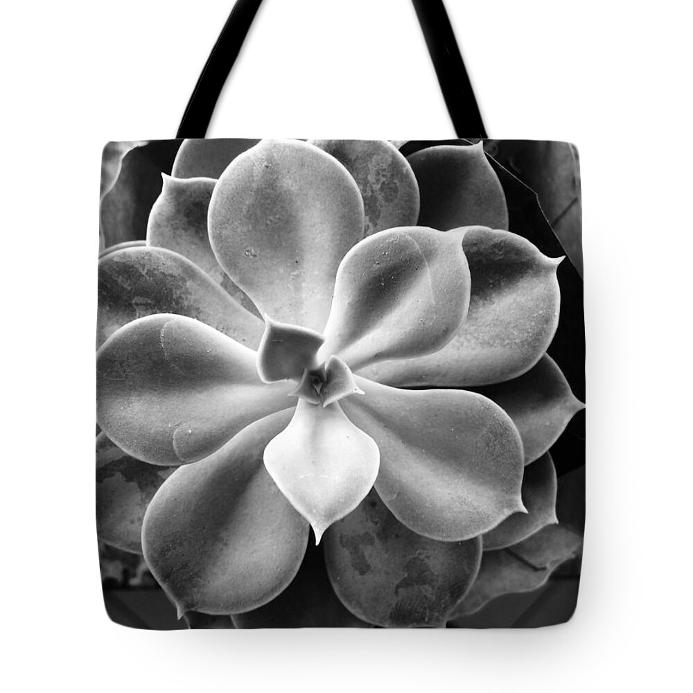 Flower Tote Bag featuring the photograph Flowers everywhere by Thamires Oliveira