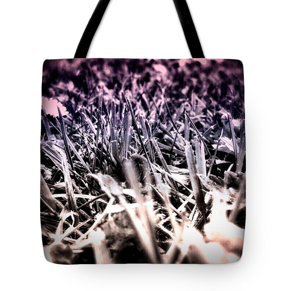Beautiful Tote Bag featuring the photograph #flowers #flower #tagsforlikes.com by Jason Roust